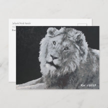 Léo, Lion Africain, Animal