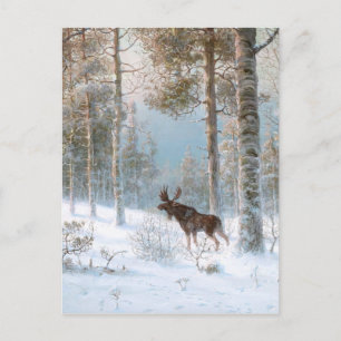 Carte Postale Leodinovich : Elk dans la forêt