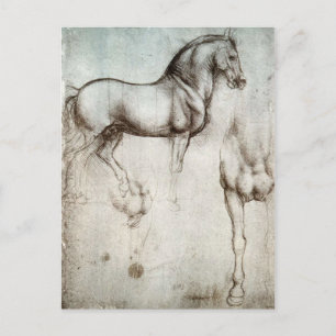 Carte Postale Léonard de Vinci - Étude d'un cheval