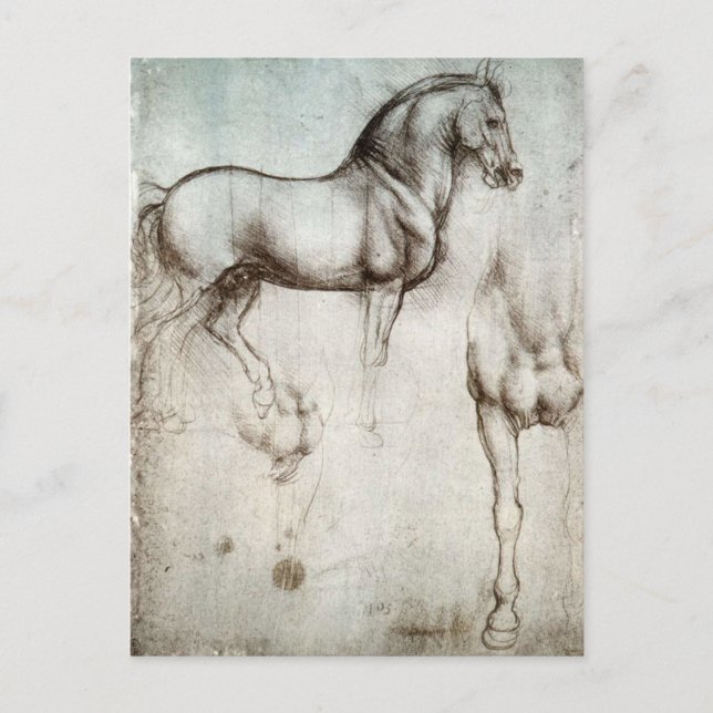 Carte Postale Léonard de Vinci - Étude d'un cheval (Devant)