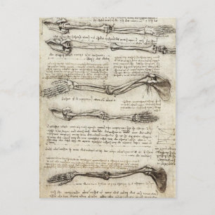 Carte Postale Léonard de Vinci - Etudes de l'Arme
