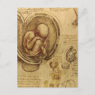 Carte Postale Leonardo Da Vinci - Étude de l'anatomie