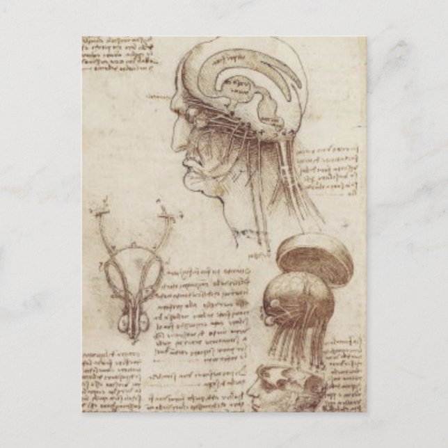 Carte Postale Leonardo da Vinci - Physiologie du cerveau (Devant)