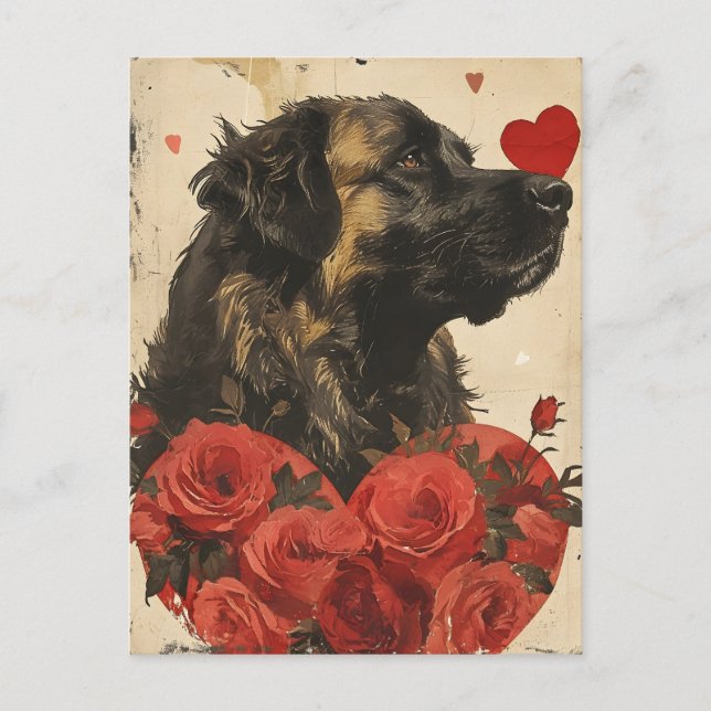 Carte Postale Leonberger Vintage Valentine's day (Devant)
