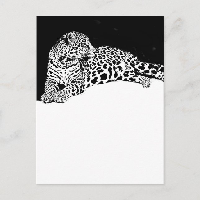 Carte Postale Leopard (Devant)