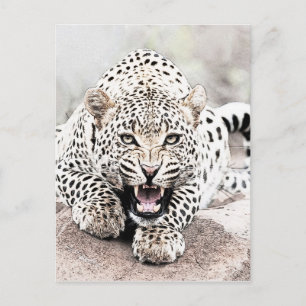 Carte Postale Leopard