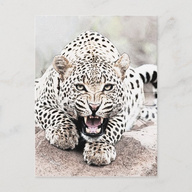 Carte Postale Leopard (Devant)
