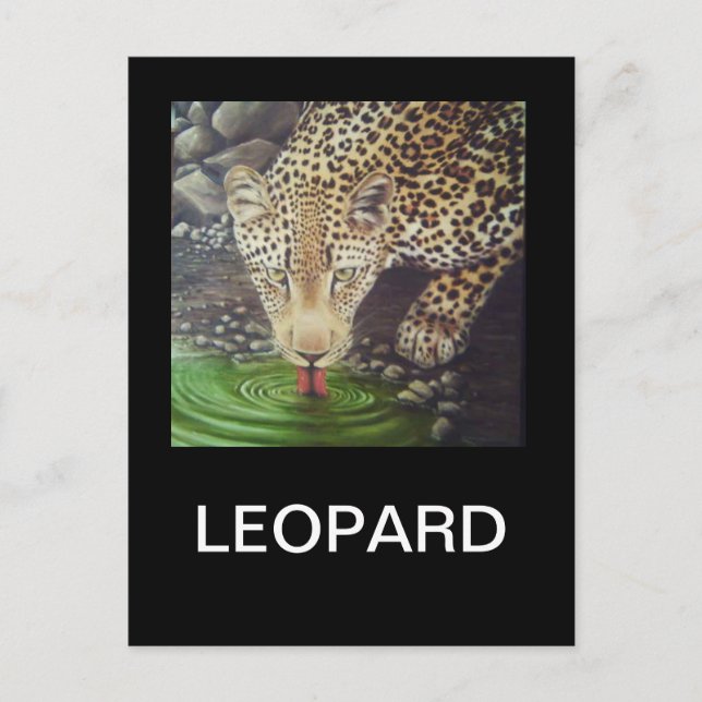 Carte Postale Leopard africain (Devant)