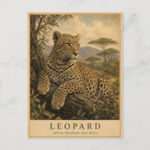 Carte Postale Léopard des bois d'Afrique de l'Est VINTAGE