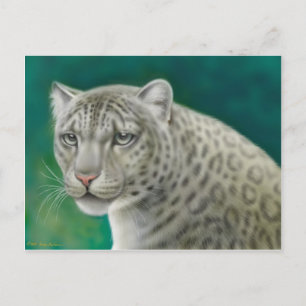 Carte postale léopard des neiges