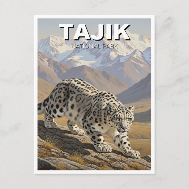 Carte Postale Leopard des neiges dans le Parc national du Tadjik (Devant)