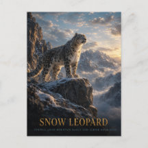 Léopard des neiges Hauts plateaux alpins ANIMAUX