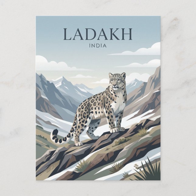 Carte Postale Léopard des neiges, Ladakh Inde (Devant)