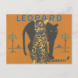 Carte Postale Leopard et Panther