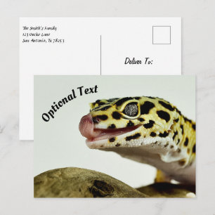 Carte Postale Leopard Gecko