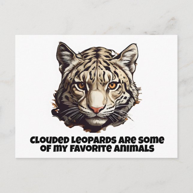 Carte Postale léopard léopard nuageux animal favori (Devant)