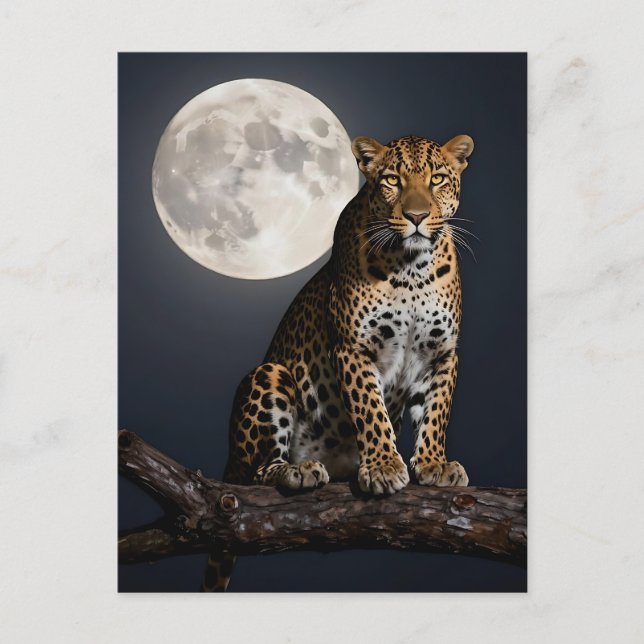 Carte Postale Léopard majestueux et pleine lune  (Devant)