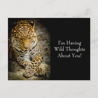 Carte postale Leopard "Pensées sauvages" au repos