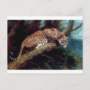Carte Postale léopard sauvage animal animal peinture antique
