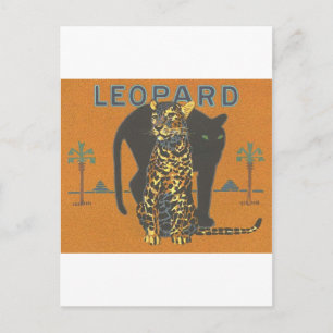 Carte Postale Leopard Vintage