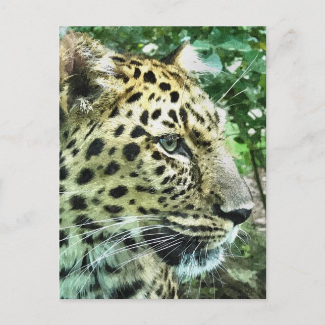 CARTE POSTALE LEOPARDS (Devant)