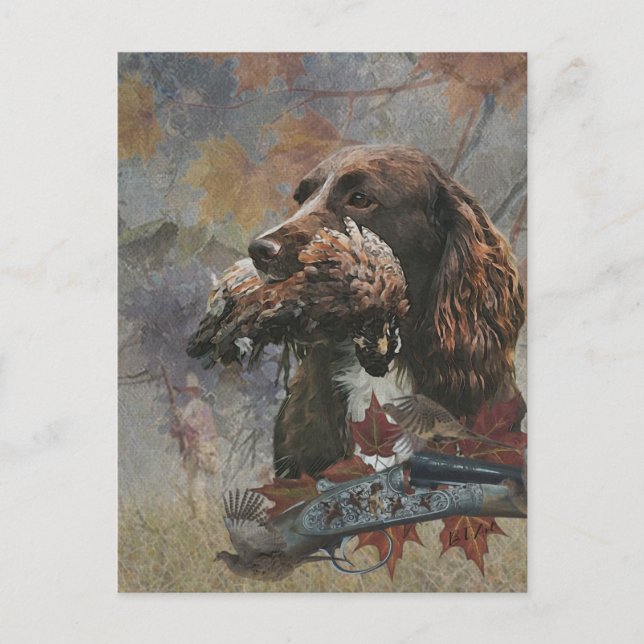 Carte Postale L'Epagneul Sprocker, Art de chien de chasse (Devant)