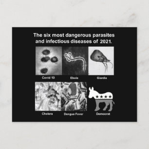 Carte Postale Les 6 parasites les plus dangereux et infectieux 2