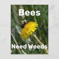 Les abeilles ont besoin de mauvaises herbes