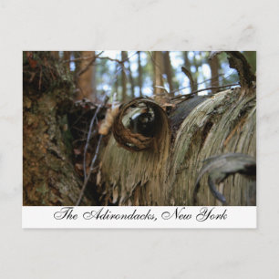 Carte Postale Les Adirondacks, New York