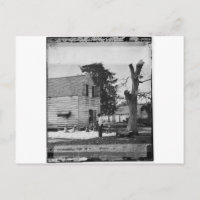 Les Afro-Américains préparent le coton vers 1862