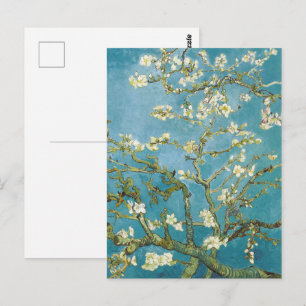Carte Postale Les amandes de Van Gogh fleurissent l'impressionni