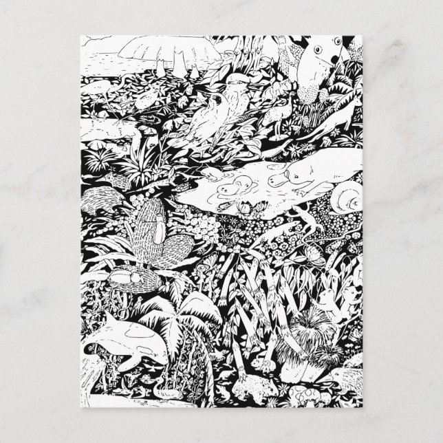 Carte Postale Les animaux en paix (Devant)