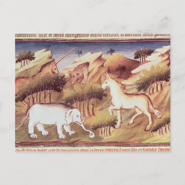 Carte Postale Les animaux mythiques dans le désert (Devant)