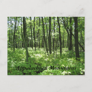 Carte Postale Les Appalaches