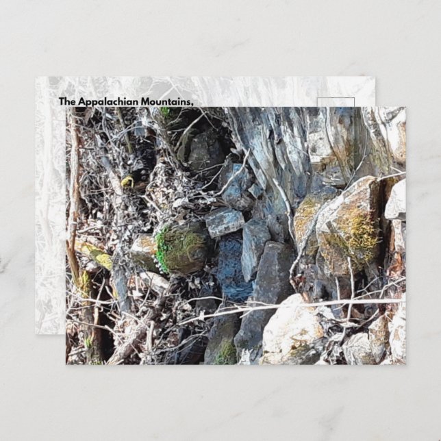 Carte Postale Les Appalaches, Virginie (Devant / Derrière)