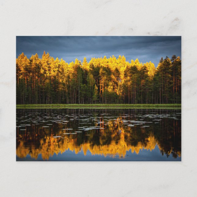 Carte Postale Les arbres jaunes au bord d'un lac (Devant)