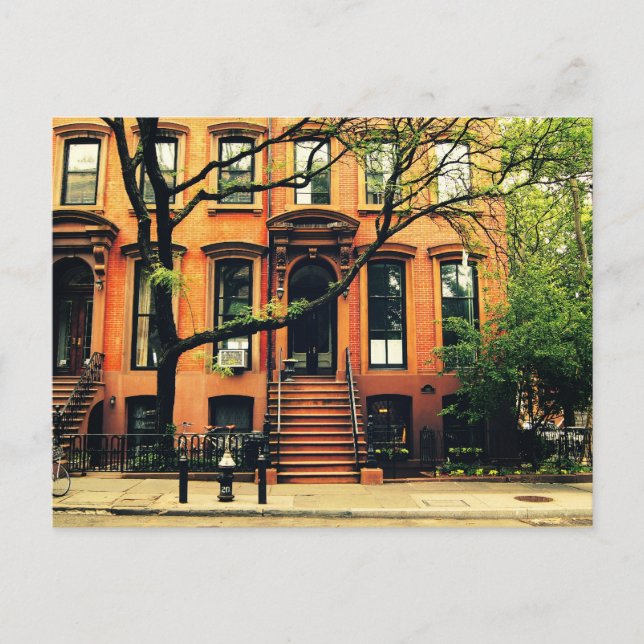 Carte Postale Les arbres poussent à Brooklyn (Devant)