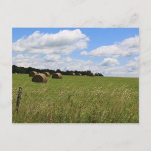 Carte Postale Les balles de l'été 2
