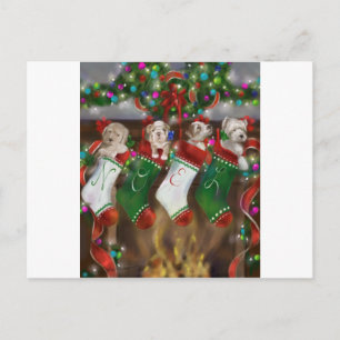 Carte Postale Les Bas Étaient Accrochés