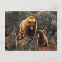 Les bébés animaux les plus mignons | Famille d'our