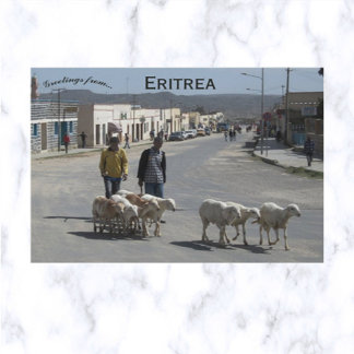 Carte Postale Les bergers et leur troupeau à Dekemhare Érythrée