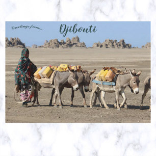 Carte Postale Les bêtes de Burden à Djibouti