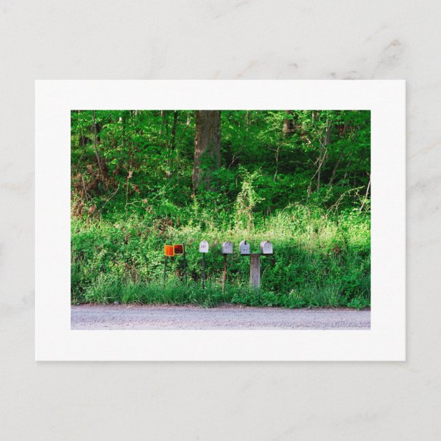 Carte Postale Les boîtes aux lettres (Devant)