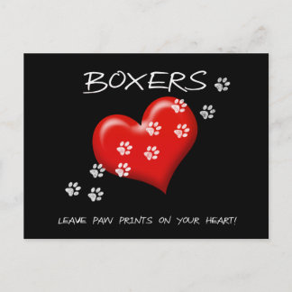 Carte Postale Les boîtes laissent des empreintes de pattes sur n