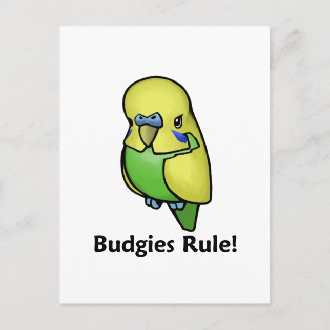 Carte Postale Les Budgies Régissent ! (Devant)