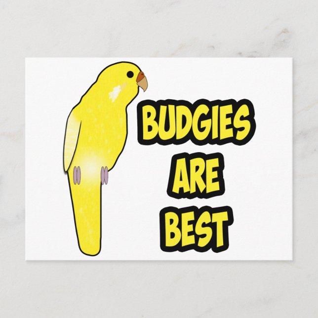 Carte Postale Les Budgies sont les meilleurs (Devant)