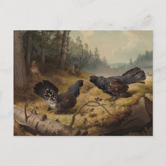 Carte Postale Les capacités de combat de Ferdinand von Wright (Devant)