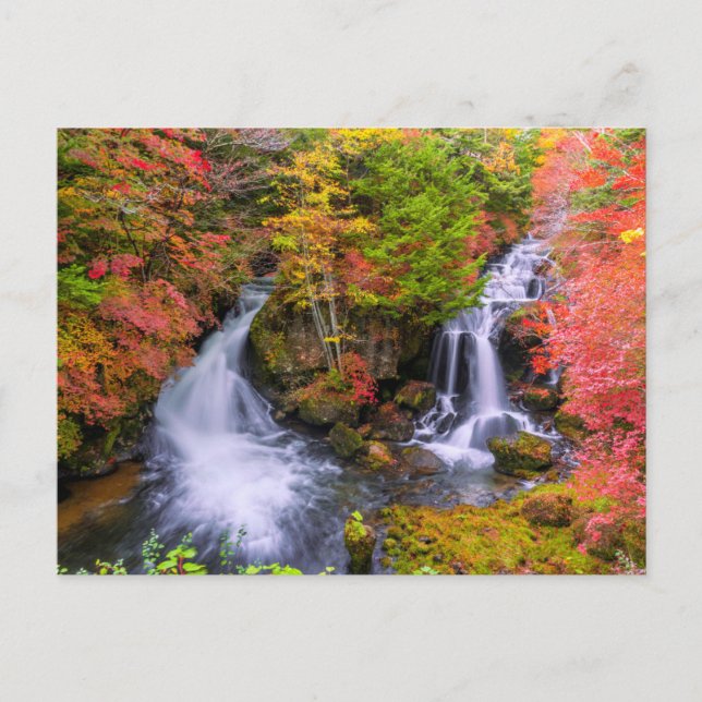 Carte Postale Les cascades | Cascades de Faucet Nikko Japon Chut (Devant)