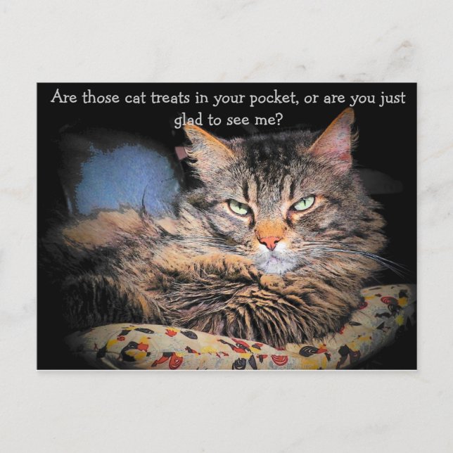 Carte Postale Les cats ? or... (Devant)