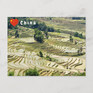 Carte Postale Les célèbres terrasses de riz yuanyang - Yunnan, C